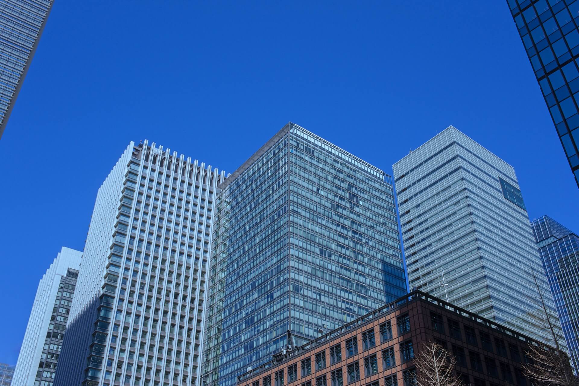 Image Job Office Lady